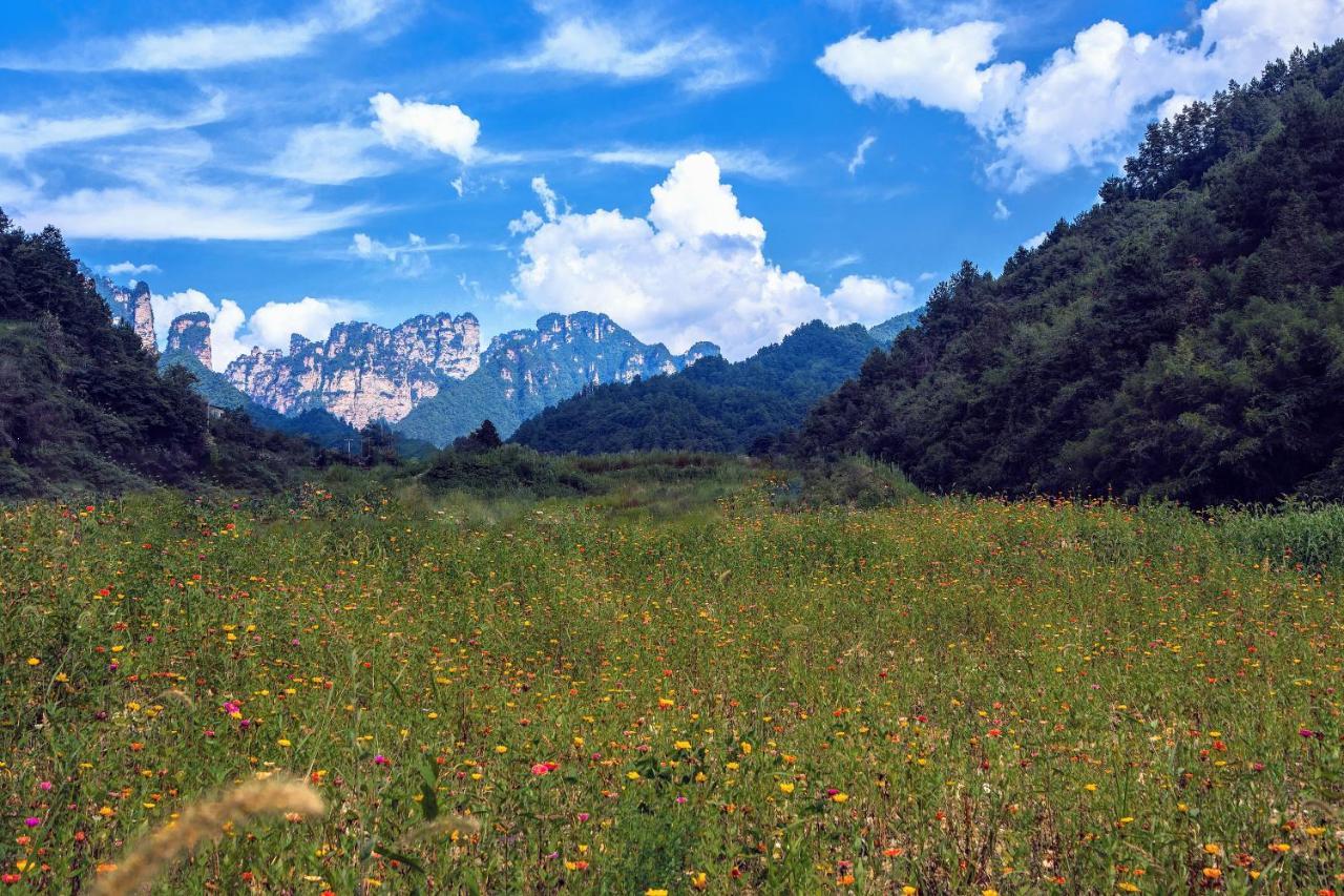 زانغجياجي Whispering Mountains Boutique Hotel المظهر الخارجي الصورة